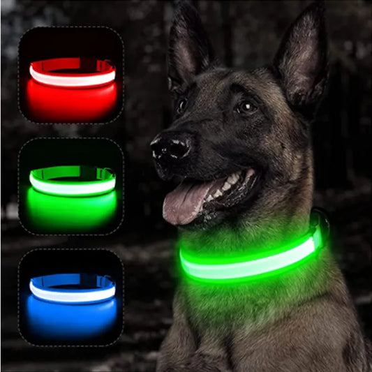 Tailywags IllumiGlow LED Dog Collar – Light Up Your Pup's Adventures in Style