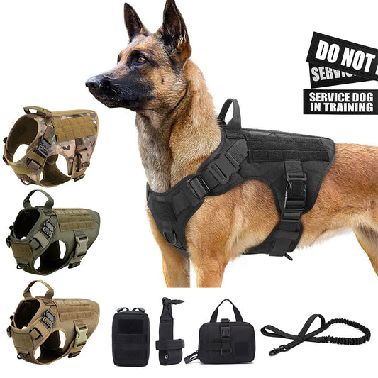 Tailywags Tactical Dog Harness: Durable, Customizable, and Adventure-Ready Canine Gear"